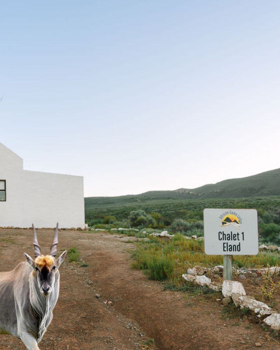 Eland Chalet