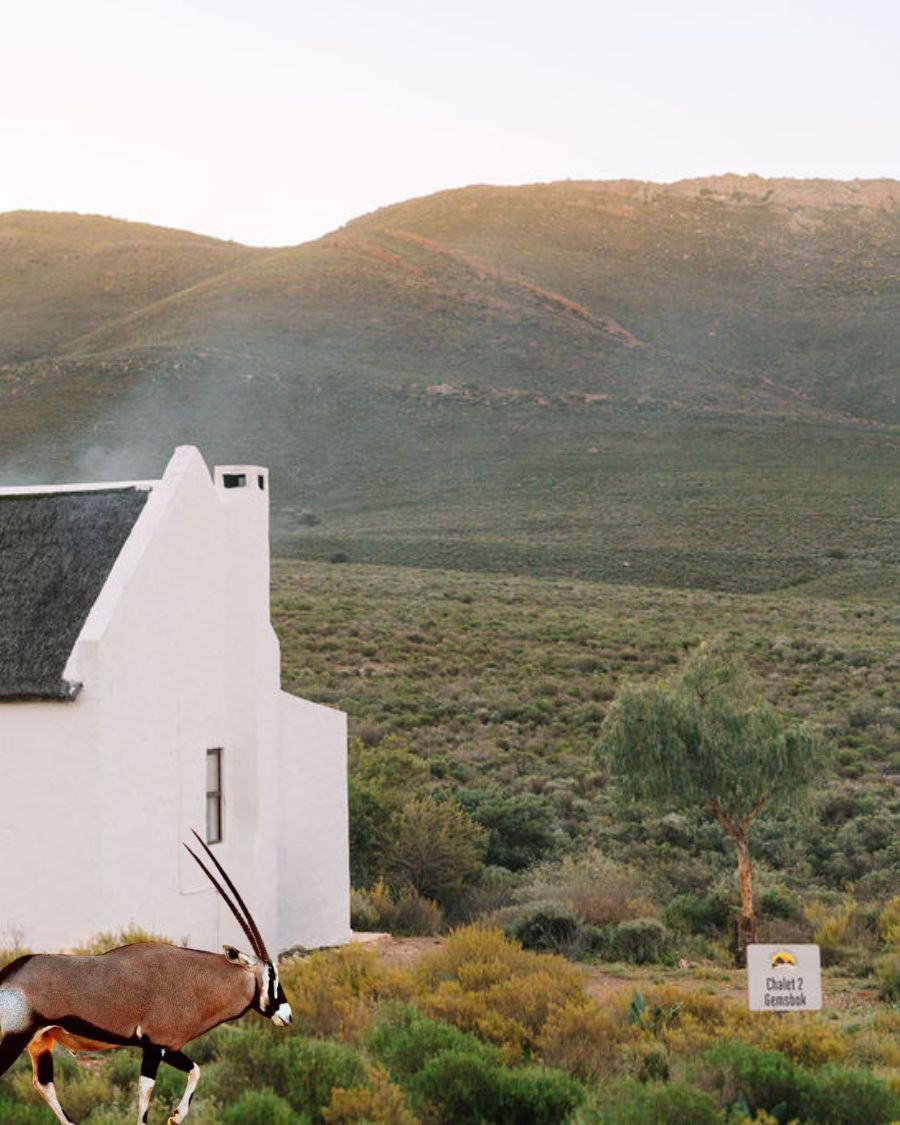 Spacious chalets