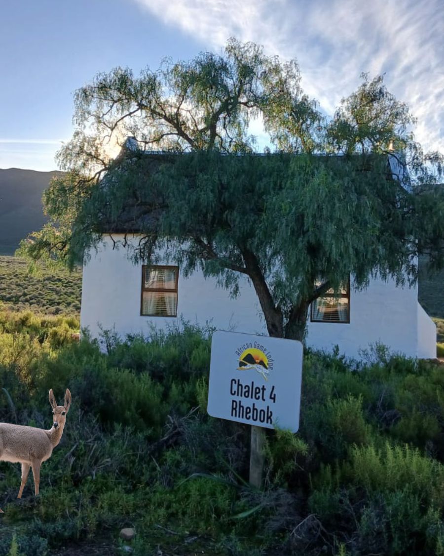 Rhebok Chalet