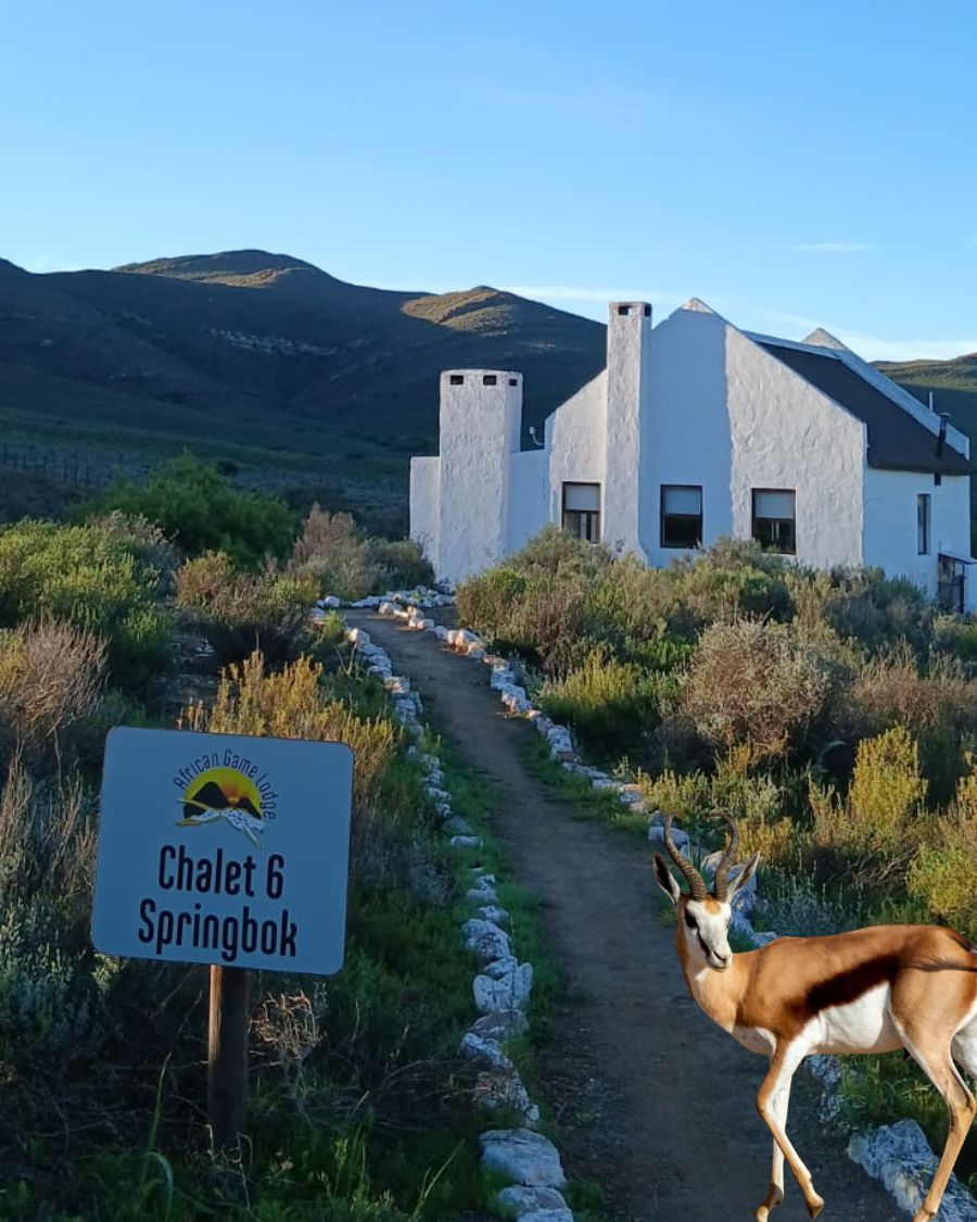 Springbok Chalet