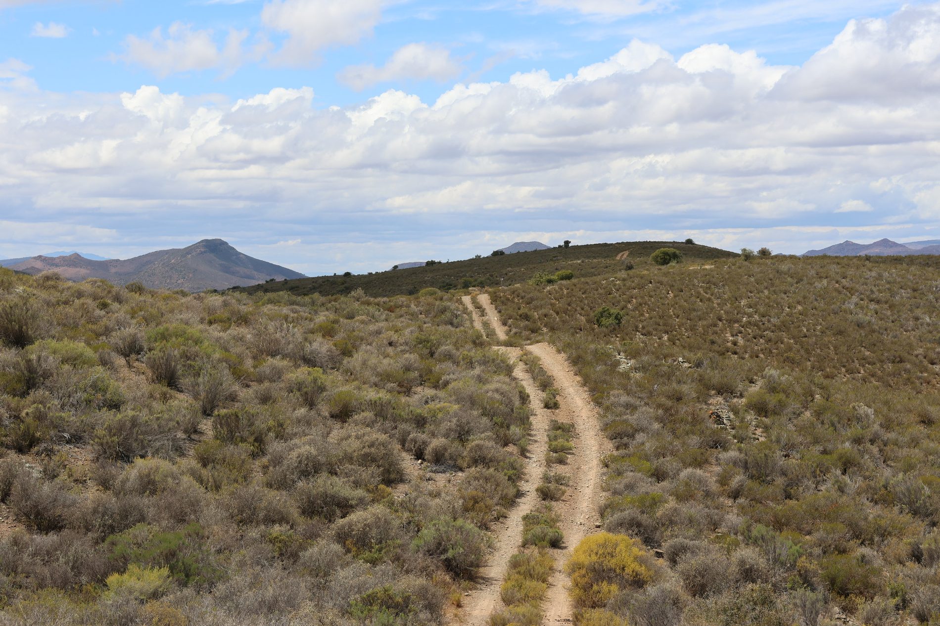 Game Viewing & Birders Trail