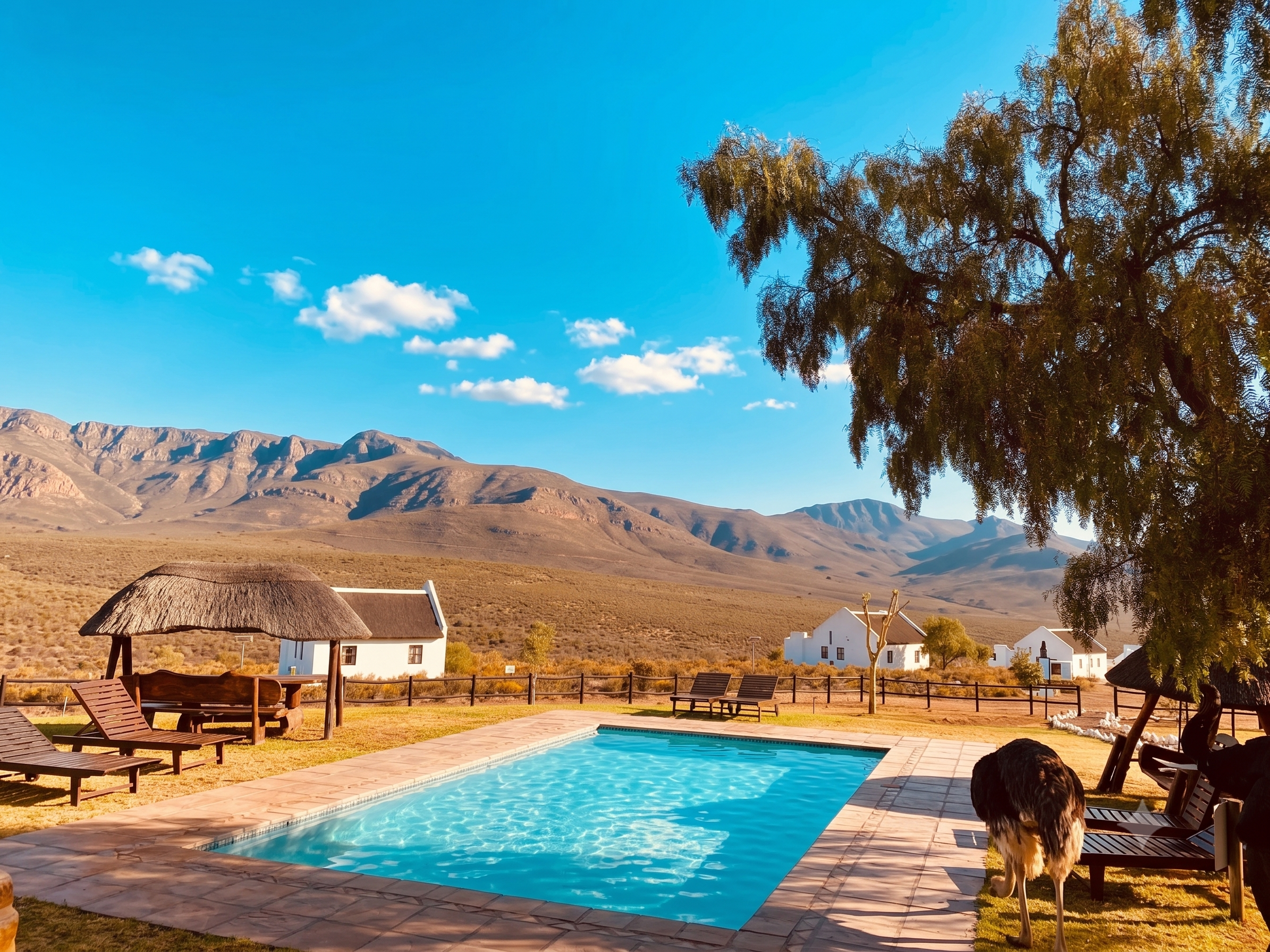 Pool and relaxation