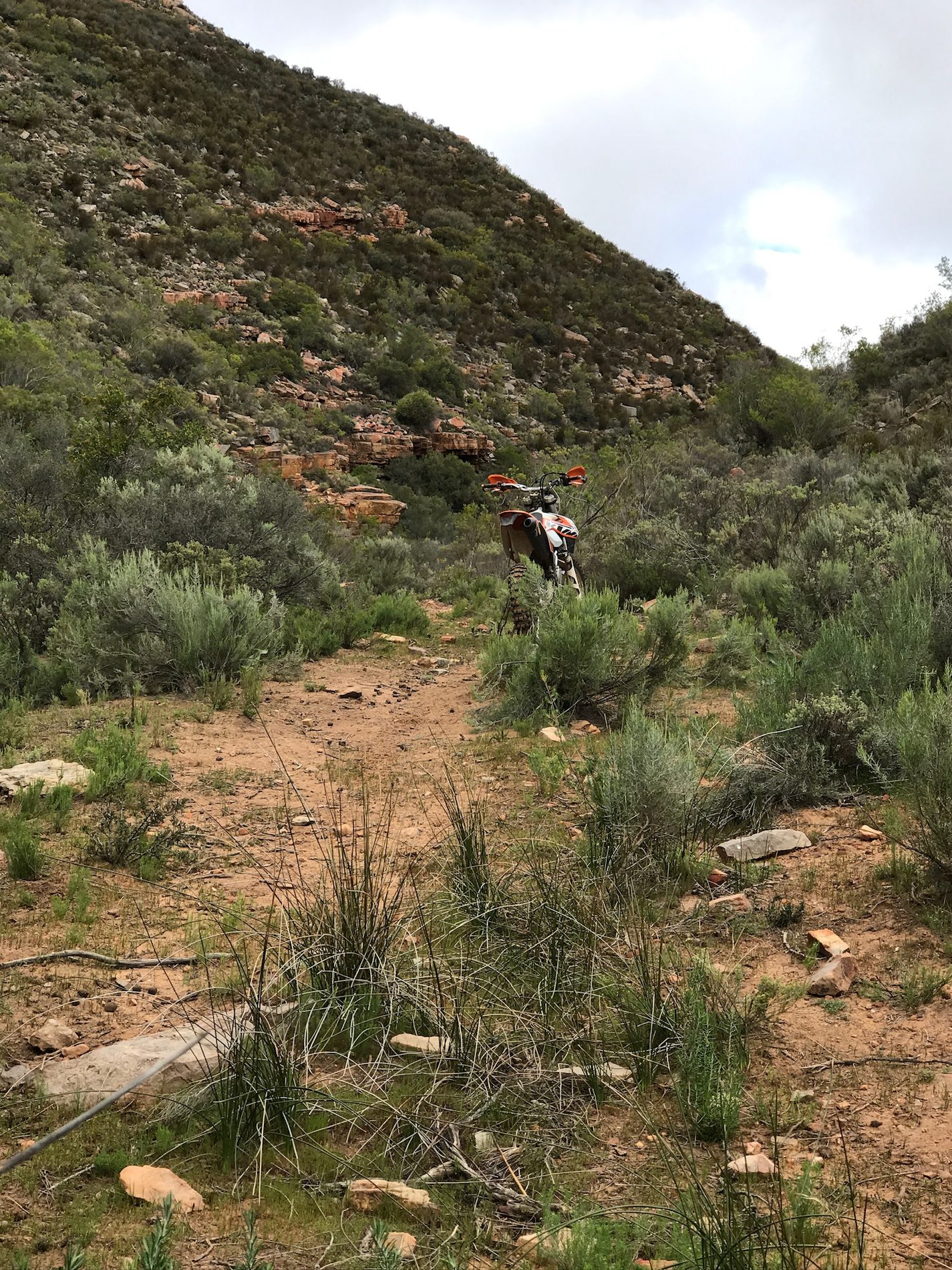 Karoo trail and mountain biking at African Game Lodge
