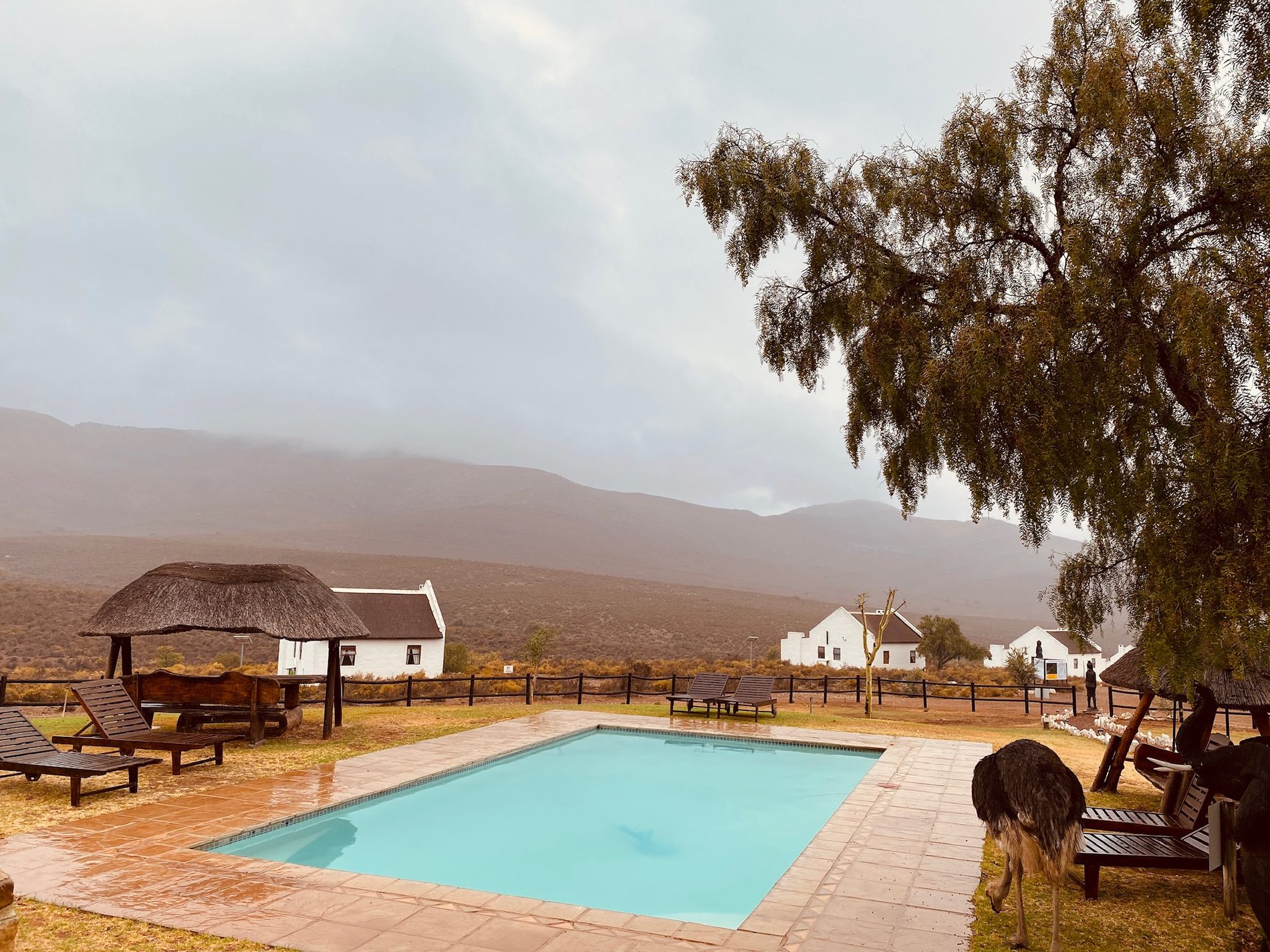 African Game Lodge gallery image